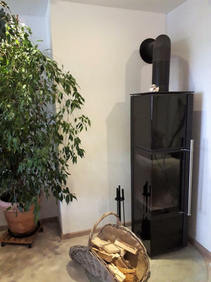 Apartament Fewo MM Eriskirch Zewnętrze zdjęcie