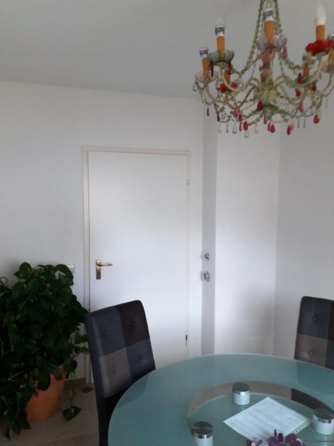 Apartament Fewo MM Eriskirch Zewnętrze zdjęcie